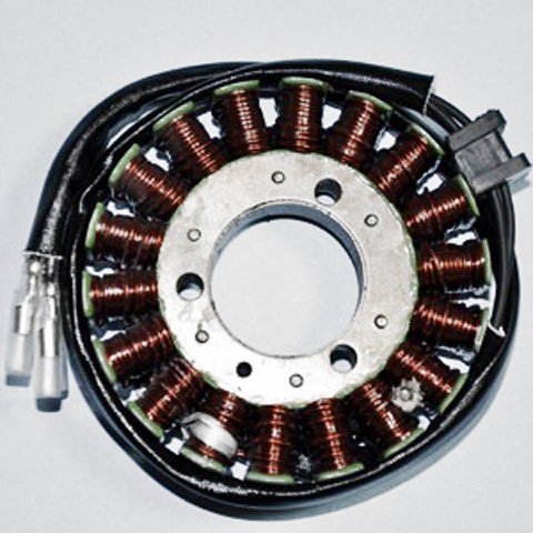 Stators Rick's Motorsport Electrics 21-203