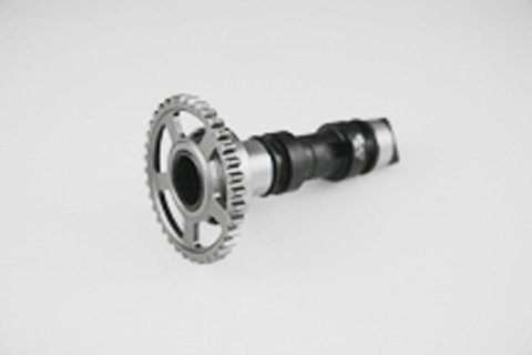 Camshafts HOTCAM 1039-1-AD
