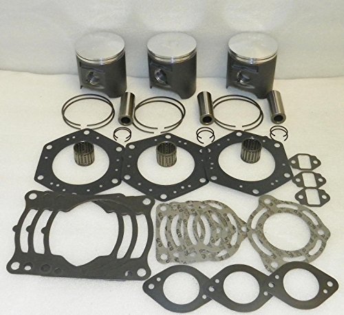 Engine WSM 010-841-12P