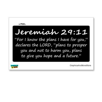 Decals Graphics and More S12581