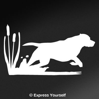 Bumper Stickers, Decals & Magnets Express Yourself Products 521-0010WNS