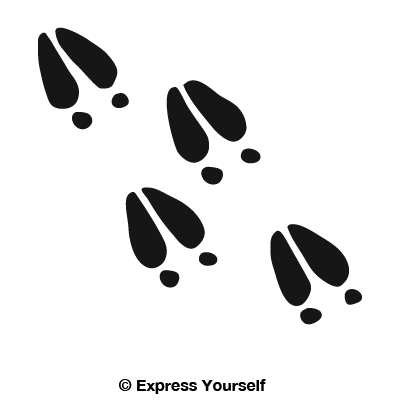 Bumper Stickers, Decals & Magnets Express Yourself Products 502-2014BNS