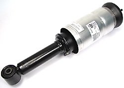 Delphi, RNB501580, Strut and Air Spring Shocks & Struts Delphi RNB501580