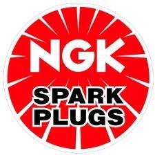 Spark Plugs NGK 6509