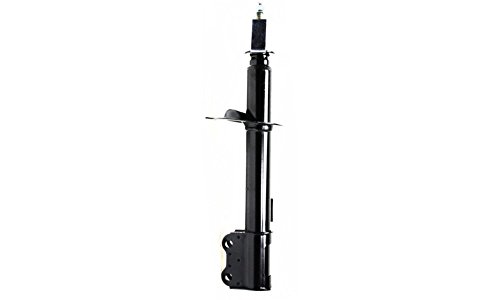 Struts Evan Fischer EVA15072047266
