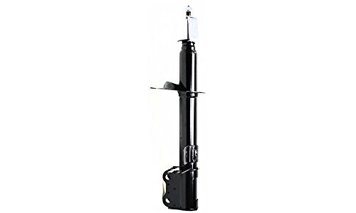 Struts Evan Fischer EVA15072047267