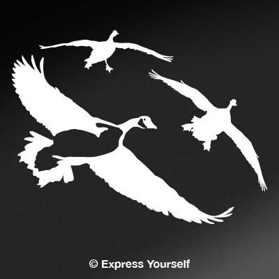 Decals Express Yourself Decals 501-0024WNS