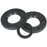 Pistons & Pins WSM 009-756