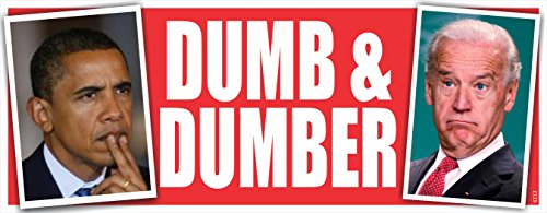 Bumper Stickers, Decals & Magnets  4213