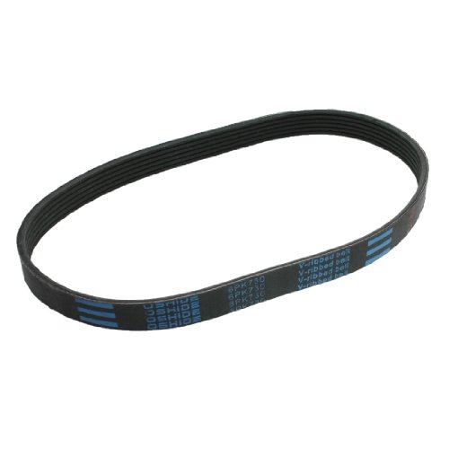 Serpentine Amico Amico