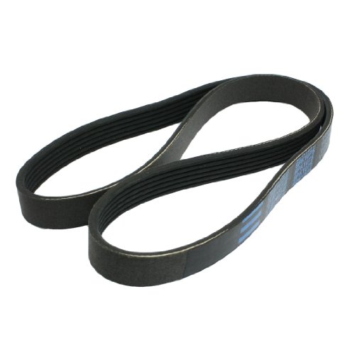 Serpentine Amico Amico