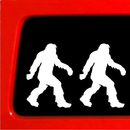 Bumper Stickers, Decals & Magnets Sticker Connection 13