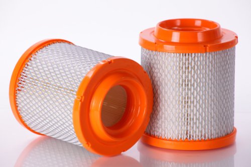 Air Filters Premium Guard PA5306