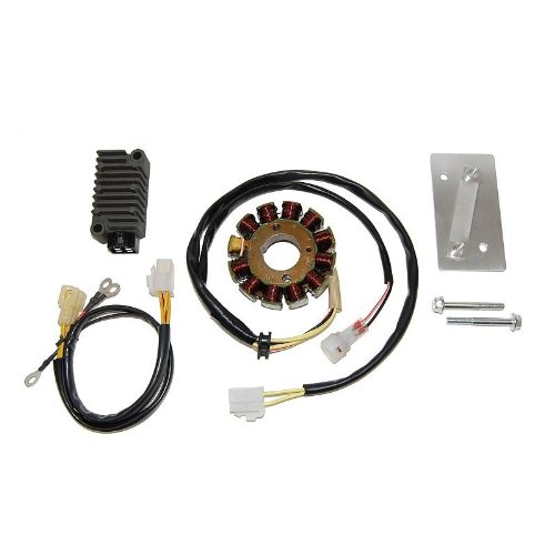 ElectroSport ESK145 Stator Hi Power Kit KTM - 250W Stators ElectroSport ESK145