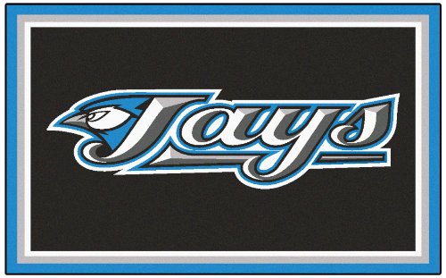 Area Rugs Fanmats 7091