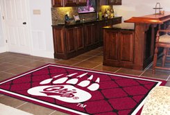FANMATS NCAA University of Montana Grizzlies Nylon Face 5X8 Plush Rug Area Rugs Fanmats 6798