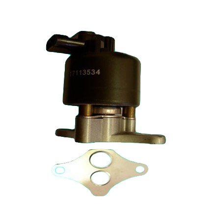 EGR Valves Forever 1002