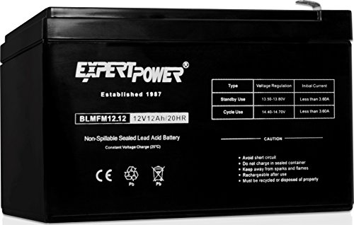 12V ExpertPower EXP12120