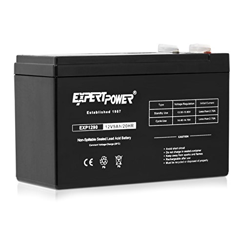 12V ExpertPower EXP1290