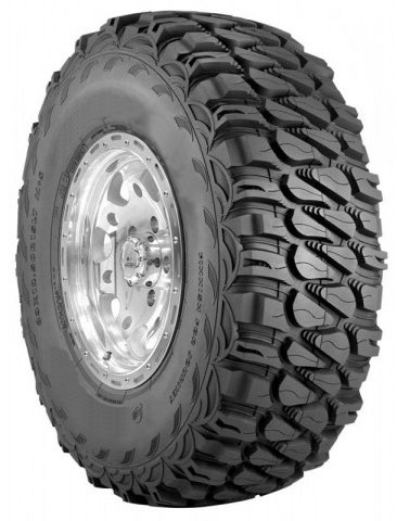 Car, Light Truck & SUV CHAPARRAL 21542723