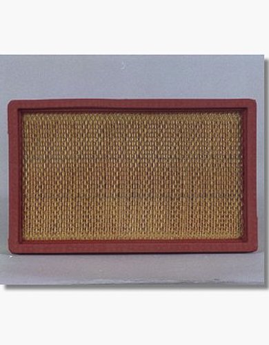 Air Filters Cummins Filtration AF4946