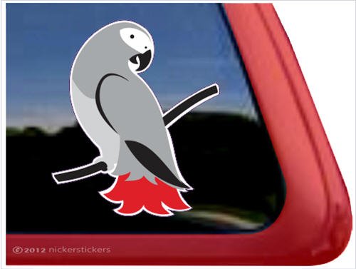 Decals NickerStickers DC903PL-R
