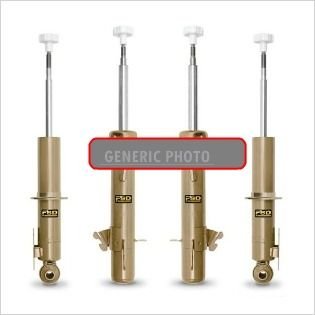 Shocks & Struts Koni 2100-4002