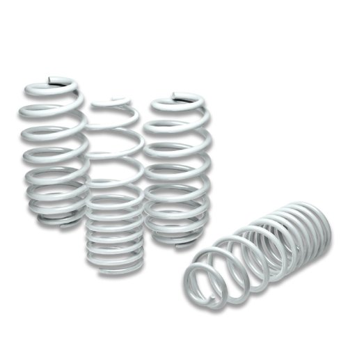 Coil Springs DPT LS-HC06-WH
