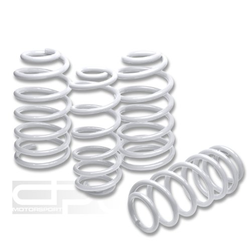 Coil Springs DPT LS-ME95-WH