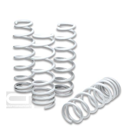 Coil Springs DPT LS-MM90-WH