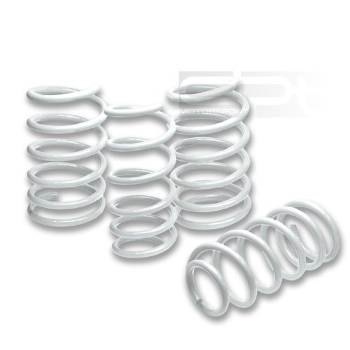 Coil Springs DPT LS-NS89-WH