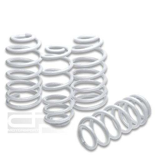 Coil Springs DPT LS-A402-WH