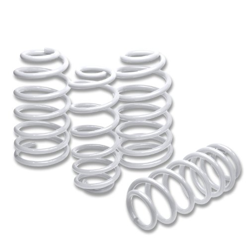 Coil Springs DPT LS-CAMARO93-WH