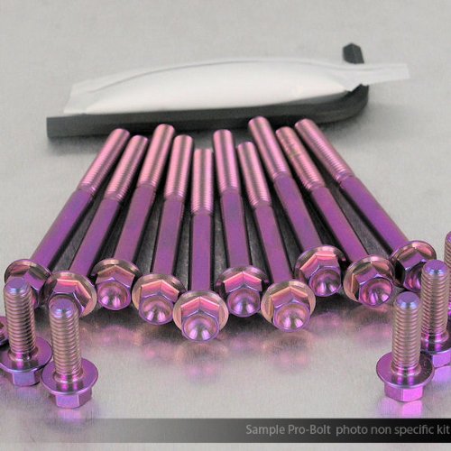 Titanium Engine Kit Kawasaki KMX125 Fl Hex Purple Haze Fairing Kits Pro Bolt EOKA15TIHXP