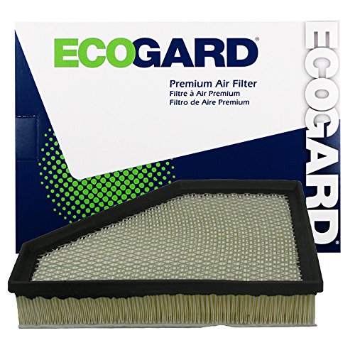 Air Filters EcoGard XA6131