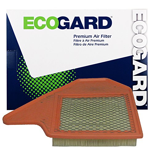 Air Filters EcoGard XA6165