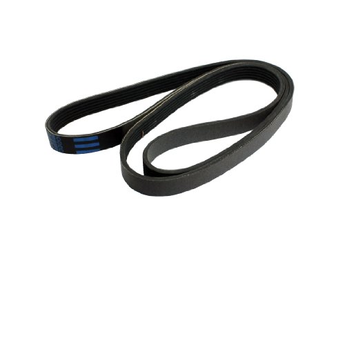Serpentine Amico a12092200ux0202