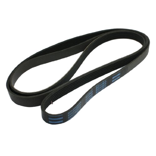 Serpentine Amico Amico