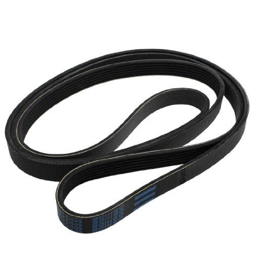 Serpentine Amico Amico