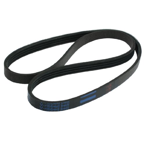 Serpentine Amico Amico