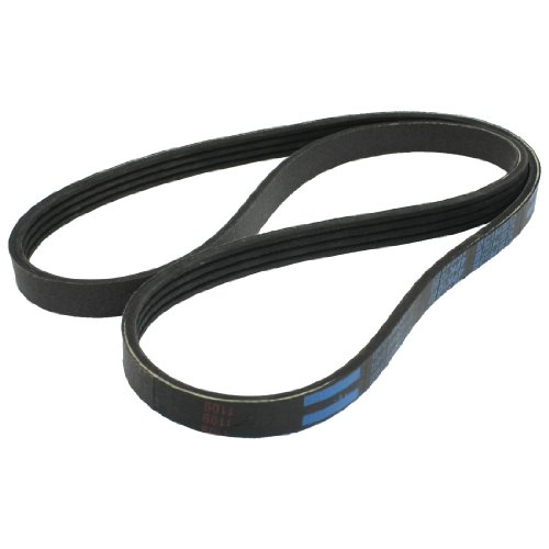 Serpentine Amico a12092200ux0218