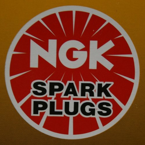 Spark Plugs NGK 4339