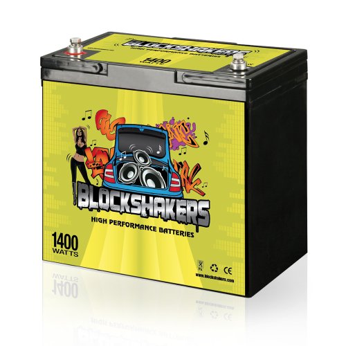 Batteries BlockShakers SLA-12V-55AH-T6