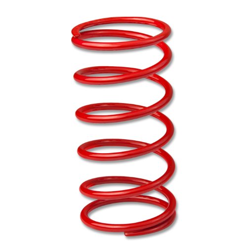 WGS-50-6-RD, 50mm 6 PSI 0.42 Bar Red External Wastegate Replacement Spring for V Band and Non V Band Turbo Turbocharger Boost Intake Manifold Wastegates DPT WGS-50-6-RD