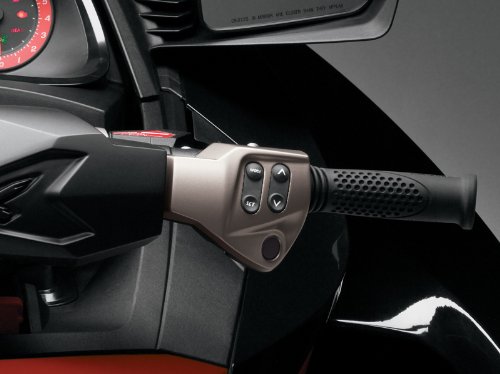 Cruise Control Sea-Doo 295100383