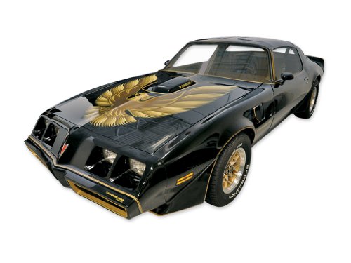 Decals TRANSAM 7881SETAU-GLD