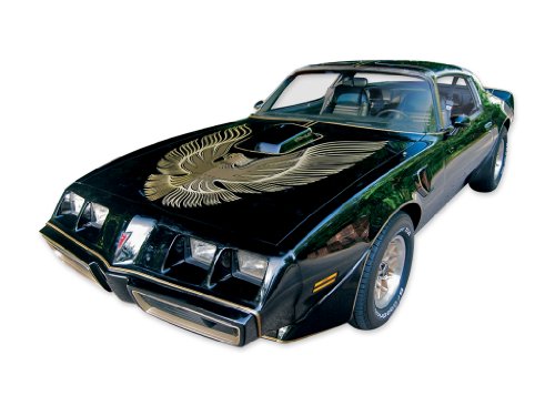 Decals TRANSAM 1981SETAU-GLDV2