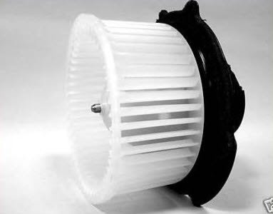 Blower Maniac EM 700196GC