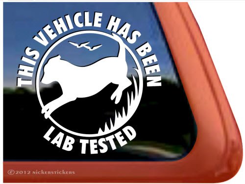 Bumper Stickers, Decals & Magnets NickerStickers DC778SP1