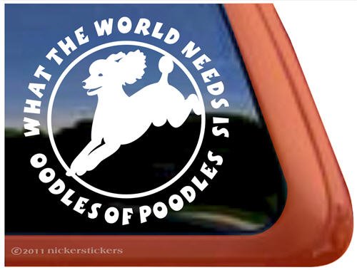 Bumper Stickers, Decals & Magnets NickerStickers DC820SP2